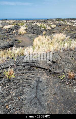 Pétroglyphes de pu'u Loa. Volcanoes National Park, Big Island Hawaii Banque D'Images