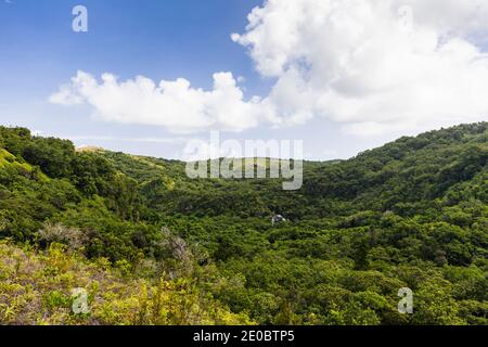 Vue lointaine de la chute d'eau de Ngardmau et du profond jngule de la forêt tropicale de montagne, Ngardau, île de Babeldaob, Palau, Micronésie, Océanie Banque D'Images