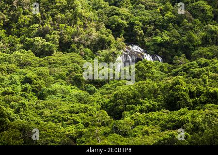 Vue lointaine de la chute d'eau de Ngardmau et du profond jngule de la forêt tropicale de montagne, Ngardau, île de Babeldaob, Palau, Micronésie, Océanie Banque D'Images