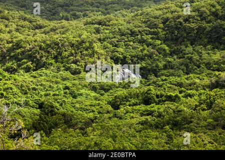 Vue lointaine de la chute d'eau de Ngardmau et du profond jngule de la forêt tropicale de montagne, Ngardau, île de Babeldaob, Palau, Micronésie, Océanie Banque D'Images