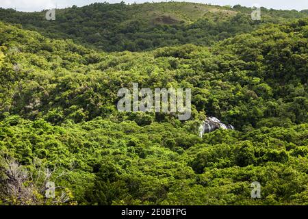 Vue lointaine de la chute d'eau de Ngardmau et du profond jngule de la forêt tropicale de montagne, Ngardau, île de Babeldaob, Palau, Micronésie, Océanie Banque D'Images