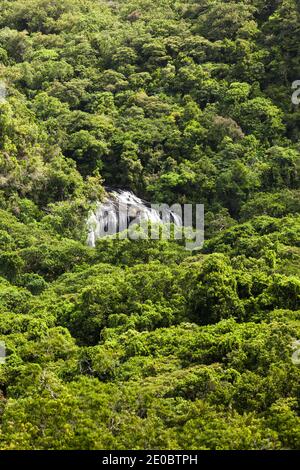 Vue lointaine de la chute d'eau de Ngardmau et du profond jngule de la forêt tropicale de montagne, Ngardau, île de Babeldaob, Palau, Micronésie, Océanie Banque D'Images