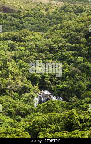 Vue lointaine de la chute d'eau de Ngardmau et du profond jngule de la forêt tropicale de montagne, Ngardau, île de Babeldaob, Palau, Micronésie, Océanie Banque D'Images