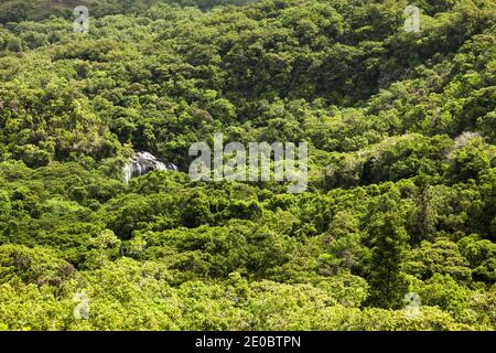 Vue lointaine de la chute d'eau de Ngardmau et du profond jngule de la forêt tropicale de montagne, Ngardau, île de Babeldaob, Palau, Micronésie, Océanie Banque D'Images