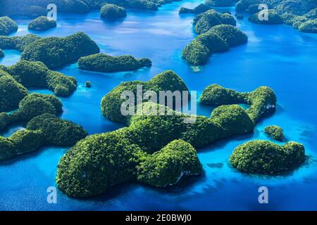 Vue aérienne des îles rocheuses, archipel sur l'île de Ngeruktabel, Koror, Palaos, Micronésie, Océanie Banque D'Images