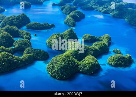 Vue aérienne des îles rocheuses, archipel sur l'île de Ngeruktabel, Koror, Palaos, Micronésie, Océanie Banque D'Images