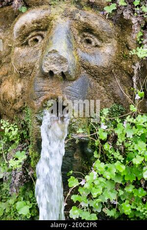 Détail d'un bec dans les cent Fontaines (Cento Fontane) dans le jardin de Villa d'Este, Tivoli, Italie Banque D'Images