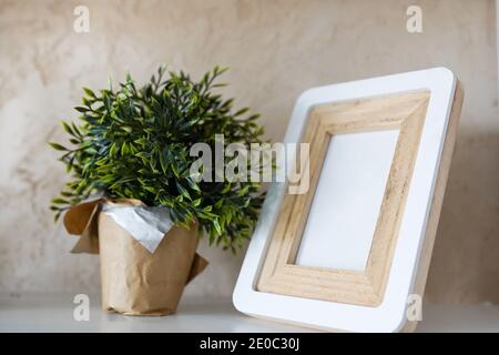 Cadre en bois blanc vintage et plante dans un pot sur un arrière-plan beige Banque D'Images