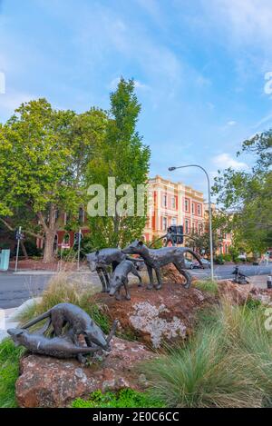 Statue des diables de Tasmanie à Launceston, Australie Banque D'Images