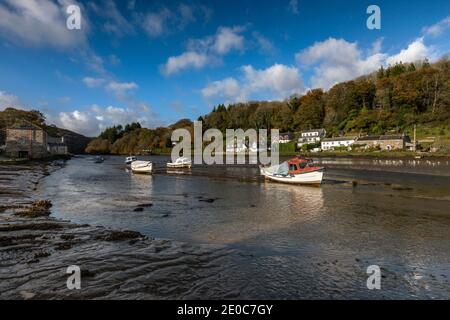 Lerryn ; River ; Cornwall ; Royaume-Uni Banque D'Images