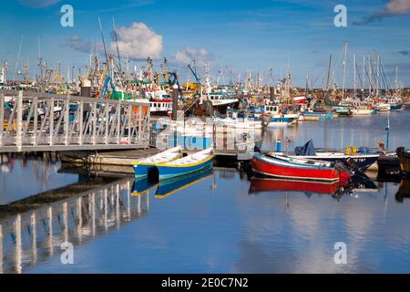 Newlyn Harbour; bateaux de pêche; Cornwall; Royaume-Uni Banque D'Images