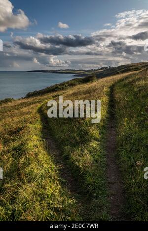 Portscatho; région agricole de Curgurrell; Cornwall; Royaume-Uni Banque D'Images