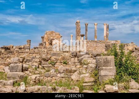 Les ruines partiellement restaurées de la basilique et du temple Capitoline dans l'ancienne ville romaine de Volubilis, près de Meknes, au Maroc. Banque D'Images