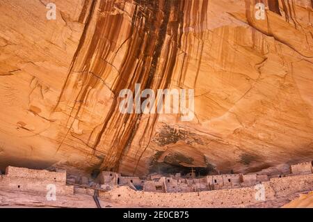 Vernis du désert sur Mesa squelette falaise sur Keet Seel ruines à Shonto Navajo National Monument, Plateau, Arizona, USA Banque D'Images