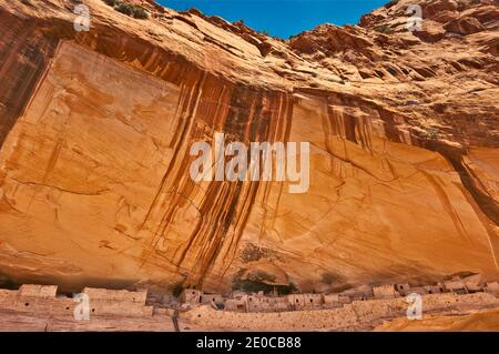 Vernis du désert sur Mesa squelette falaise sur Keet Seel ruines à Shonto Navajo National Monument, Plateau, Arizona, USA Banque D'Images