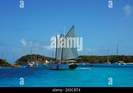 Caraïbes: Iles du vent: St Vincent et les Grenadines: Tobago Cays Banque D'Images