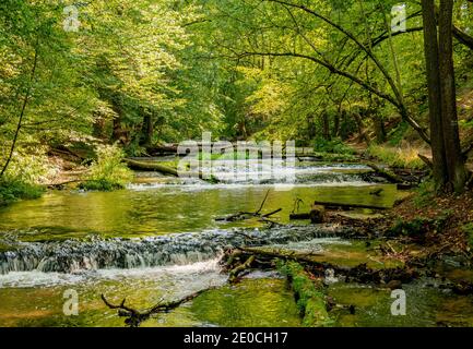 Cascades sur la rivière Tanew, Szumy nad Tanwia, Réserve naturelle de Tanew, Roztocze, Lublin Voivodeship, Pologne, Europe Banque D'Images