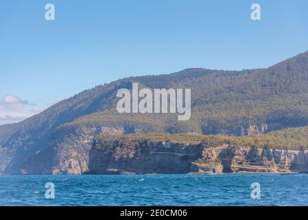 Falaises au parc national de Tasman en Tasmanie, Australie Banque D'Images