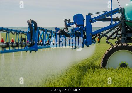 Pulvérisateurs agricoles, pulvérisation de produits chimiques sur du blé jeune. Pulvérisation de pesticides sur le champ de blé avec pulvérisateur Banque D'Images