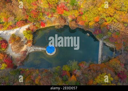 Vue aérienne d'un pavillon situé sur un étang dans Parc national de Naejangsan en république de Corée Banque D'Images