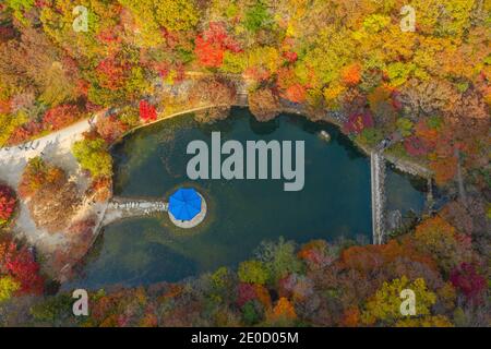 Vue aérienne d'un pavillon situé sur un étang dans Parc national de Naejangsan en république de Corée Banque D'Images