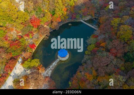 Vue aérienne d'un pavillon situé sur un étang dans Parc national de Naejangsan en république de Corée Banque D'Images