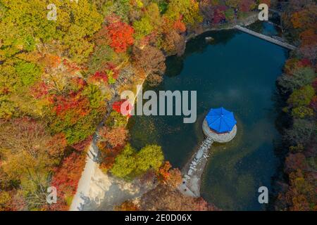 Vue aérienne d'un pavillon situé sur un étang dans Parc national de Naejangsan en république de Corée Banque D'Images