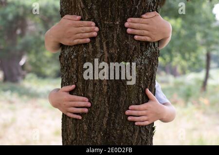 Deux enfants embrassant un tronc d'arbre. Concept d'amour de la nature. Banque D'Images