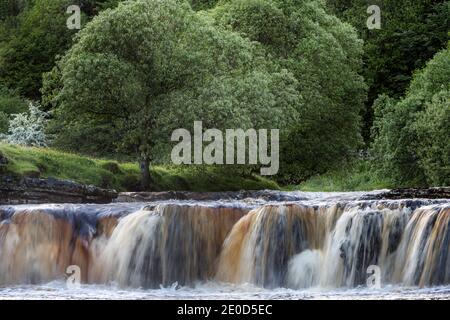 Wain WATH Force on the River Swale près de Keld, Swaledale, Yorkshire Dales National Park, Angleterre Banque D'Images