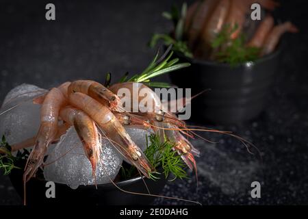 Crevettes crues placées dans un bol avec des glaçons et du vert herbes sur table sombre dans la cuisine du restaurant Banque D'Images