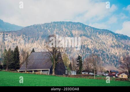 Petits cottages traditionnels confortables situés sur une colline herbeuse Près des montagnes massives avec des sapins à Hallstatt Banque D'Images