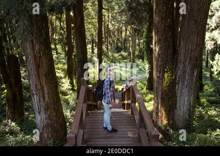 Vue d'en haut de côté de la jeune femme ethnique touriste debout sur un pont en bois dans une forêt verte avec vue sur les lunettes de soleil Pendant les vacances à Alishan Tow Banque D'Images