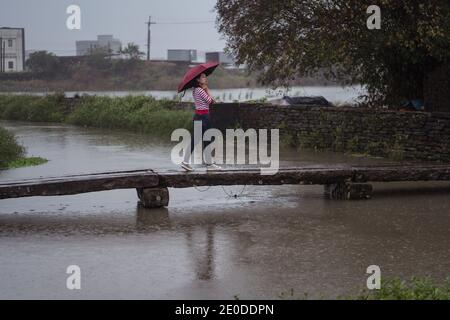 Vue latérale de la femme avec parasol le long de la passerelle en bois Tout en appréciant la solitude le jour des pluies dans le comté de Yilan et vue sur l'extérieur Banque D'Images