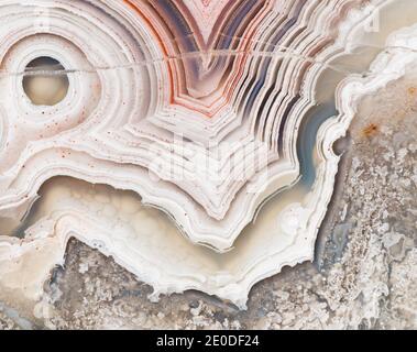 Macro photographie d'une coupe Laguna Lace agate montrant le motif de bande caractéristique Banque D'Images