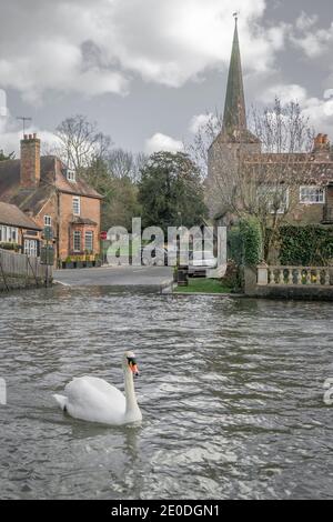 Eynsford Swan au ford Banque D'Images