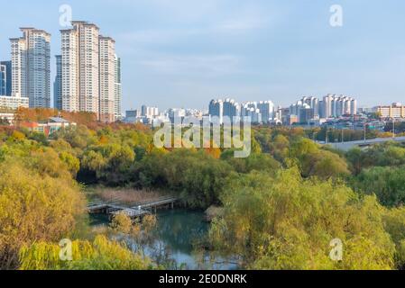 Parc le long de l'île de Yeouido à Séoul, en République de Corée Banque D'Images