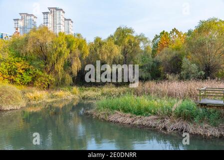 Parc le long de l'île de Yeouido à Séoul, en République de Corée Banque D'Images