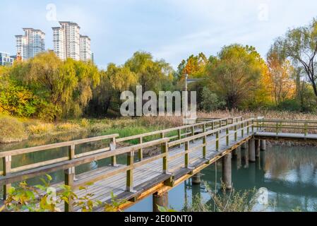 Parc le long de l'île de Yeouido à Séoul, en République de Corée Banque D'Images