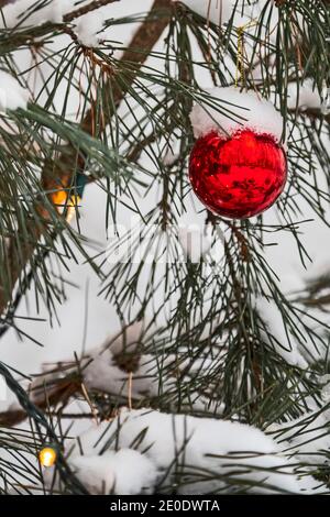 Detroit, Michigan - UN ornement de Noël sur un pin extérieur après une tempête de neige. Banque D'Images