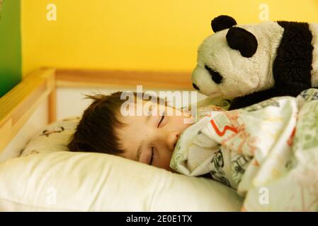 Un jeune garçon (8 ans) endormi avec son panda en peluche Banque D'Images