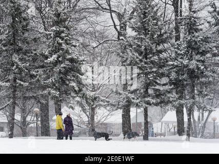 Les gens qui marchent leurs chiens pendant les chutes de neige au Québec, au Canada Banque D'Images