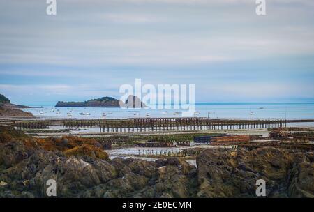 Cancale, France, septembre 2020, vue sur la ferme des huîtres en Bretagne Banque D'Images