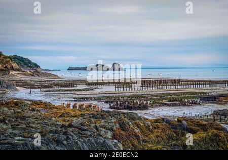 Cancale, France, septembre 2020, vue sur la ferme des huîtres en Bretagne Banque D'Images