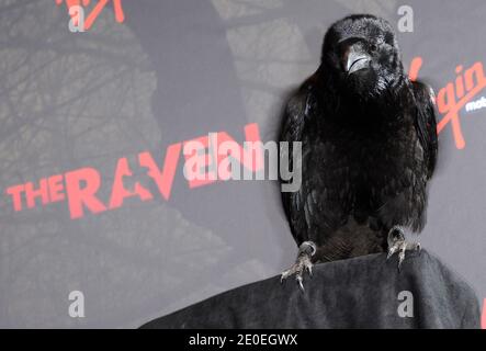Projection spéciale de 'The Raven' à Los Angeles, CA, Etats-Unis, le 23 avril 2012. Photo de Lionel Hahn/ABACAPRESS.COM Banque D'Images
