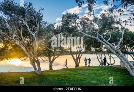 Ambiance nocturne au lac Ainsworth, également appelé lac Teai Tree en raison des arbres de thé sur sa rive, Lennox Head, région des rivières du Nord, côte nord de Banque D'Images