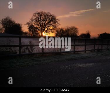 Lever du soleil entre les arbres qui illuminent les terres agricoles et les clôtures. Le gel froid couvrait la clôture de champ et les plantes pendant les hivers le matin en Angleterre, au Royaume-Uni Banque D'Images