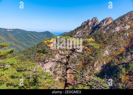 Vue aérienne du parc national de Seoraksan en République de Corée Banque D'Images