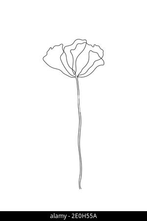 Dessin de contour minimaliste Line art-Poppy flower. Illustration à une ligne, motif floral pour créer des œuvres d'art linéaires sur fond blanc. Banque D'Images