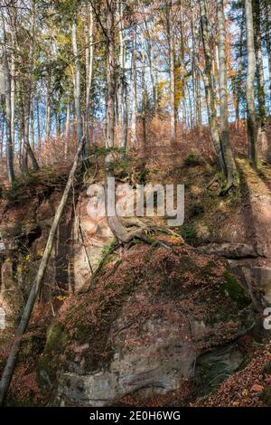 Un arbre élevé qui pousse sur un immense rocher Banque D'Images