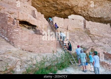 Les visiteurs grimpent sur une échelle à long House Cliff demeure dans une alcôve à Wetherill Mesa dans le parc national de Mesa Verde, Colorado, États-Unis Banque D'Images